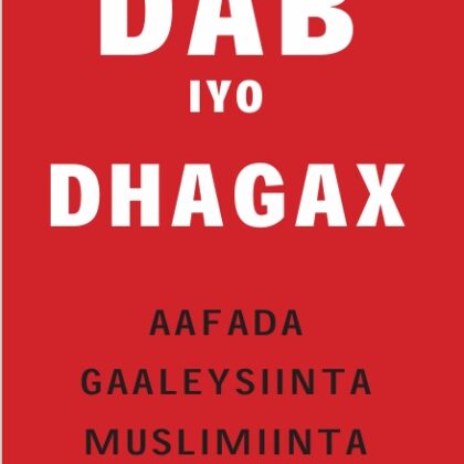 Dab iyo Dhagax