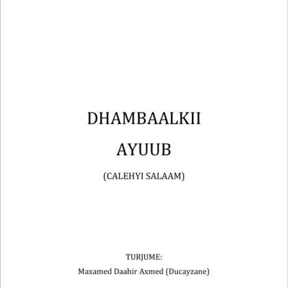 Dhambaalkii Ayuub